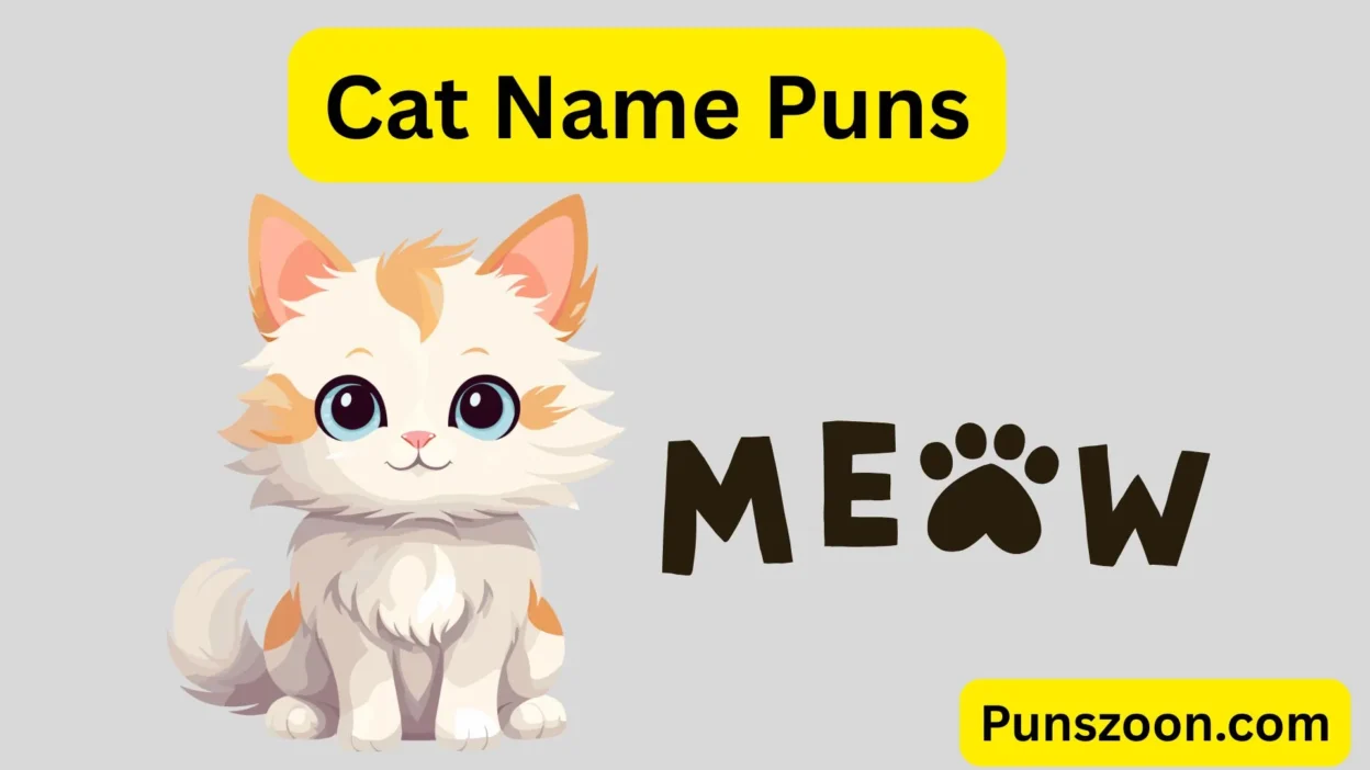 Cat Name Puns