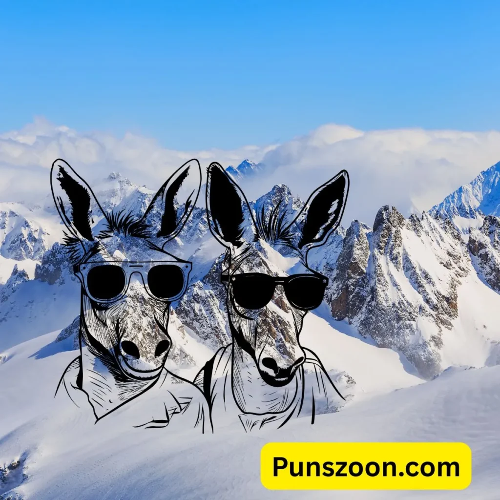 Funny Mountain Puns