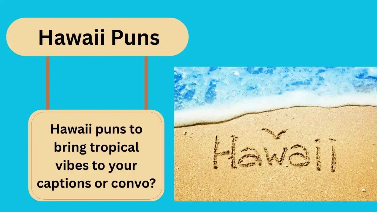  Hawaii Puns