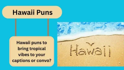  Hawaii Puns