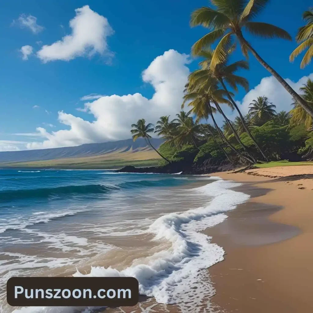 Hawaii Puns for Captions