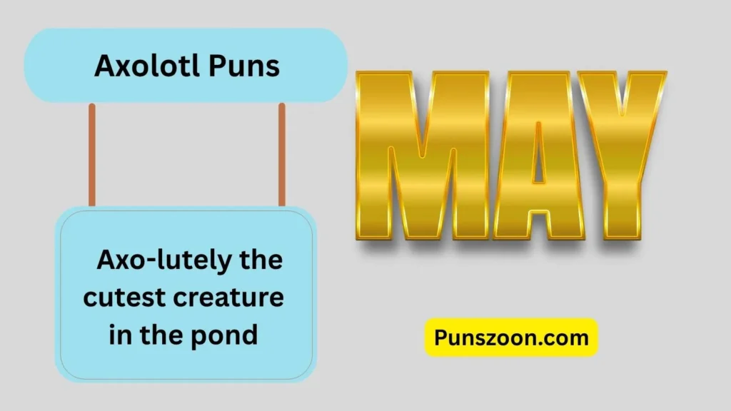 May Puns