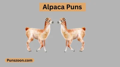 Alpaca Puns