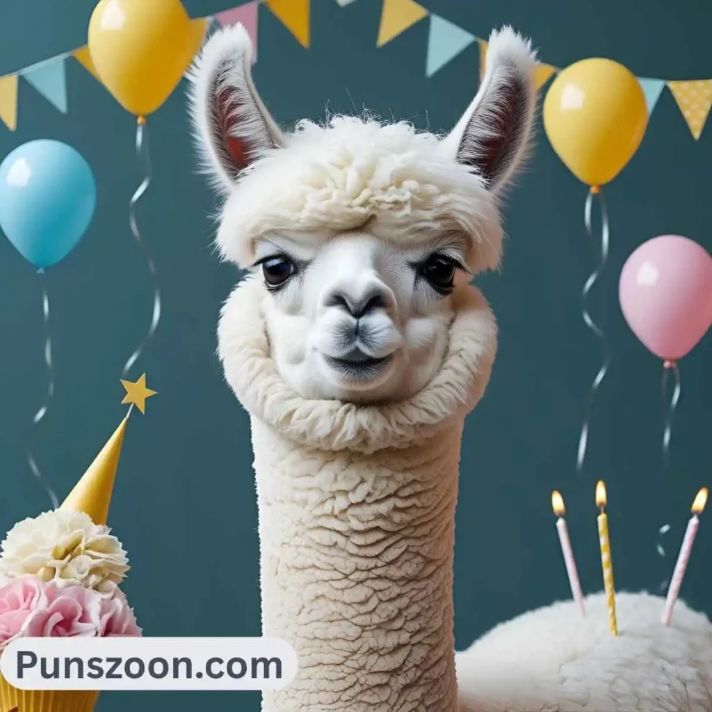 Alpaca Puns Birthday