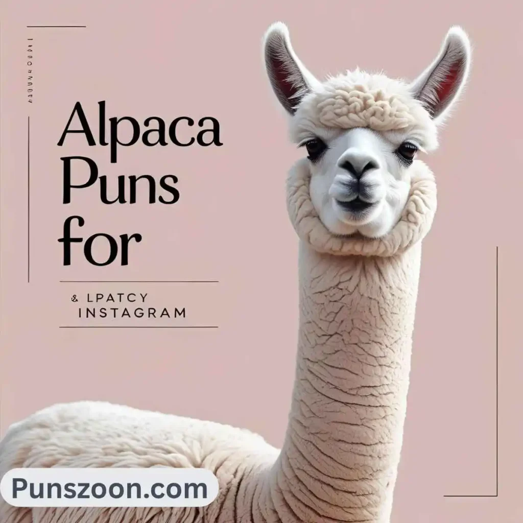 Alpaca Puns for Instagram