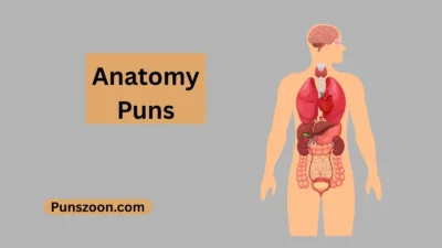 Anatomy Puns