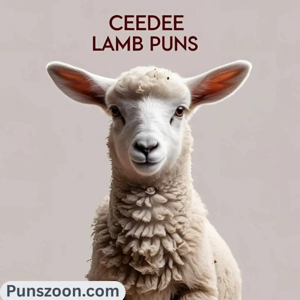 Ceedee Lamb Puns