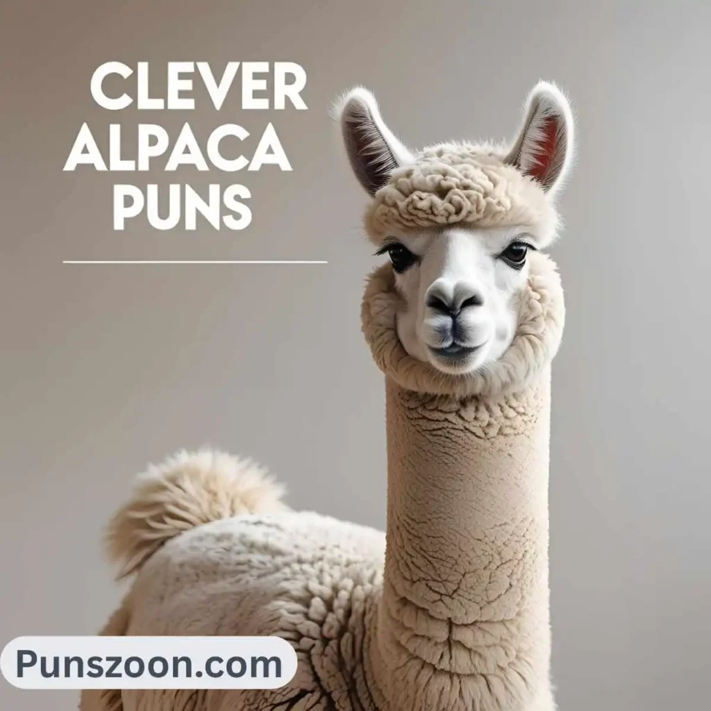Clever Alpaca Puns
