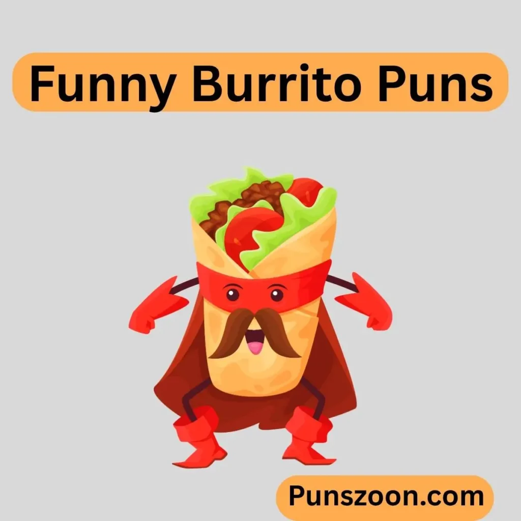 Funny Burrito Puns