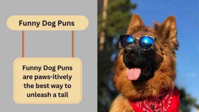 Funny Dog Puns