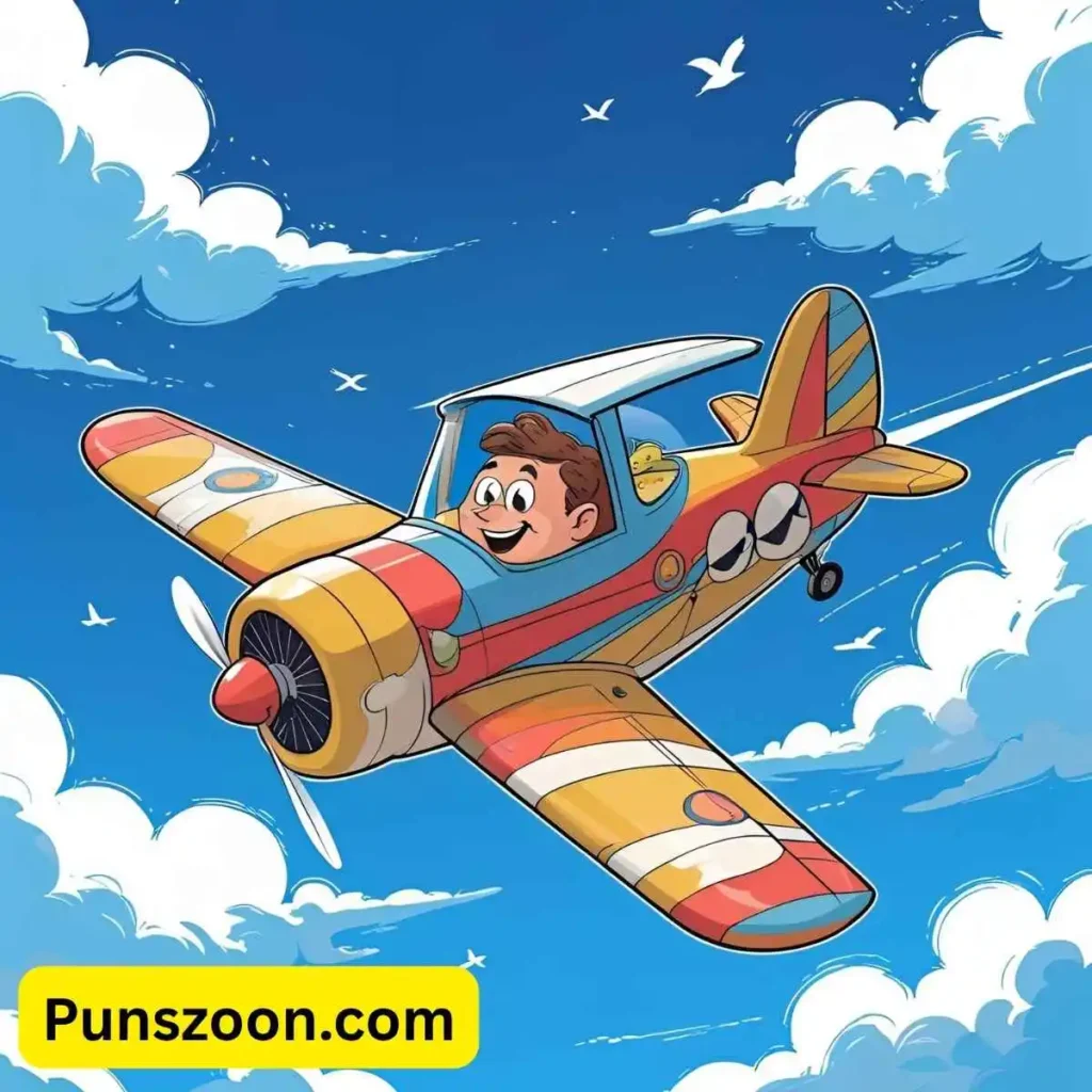 Funny Plane Puns