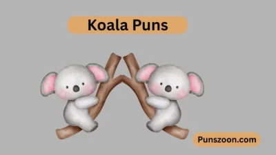 Koala Puns