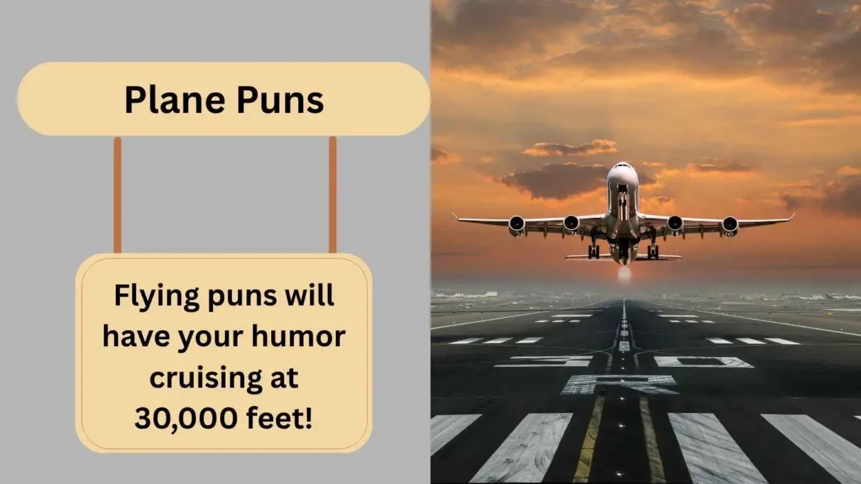 Plane Puns