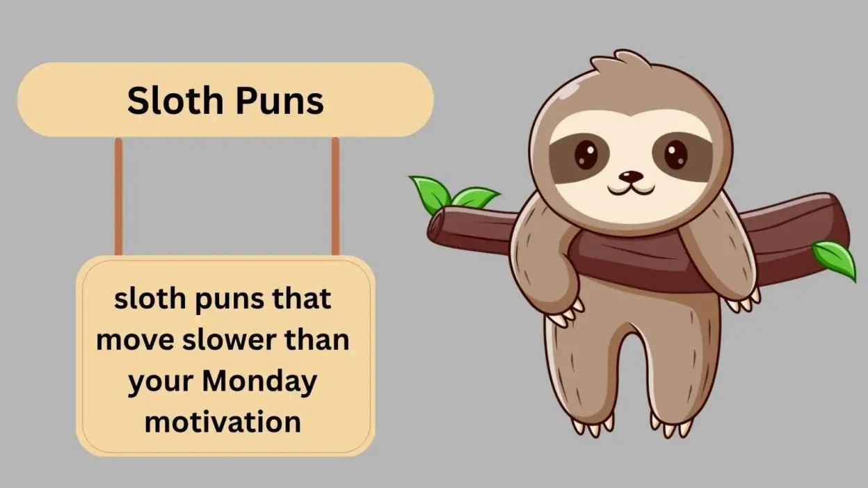 Sloth Puns