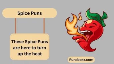 Spice Puns