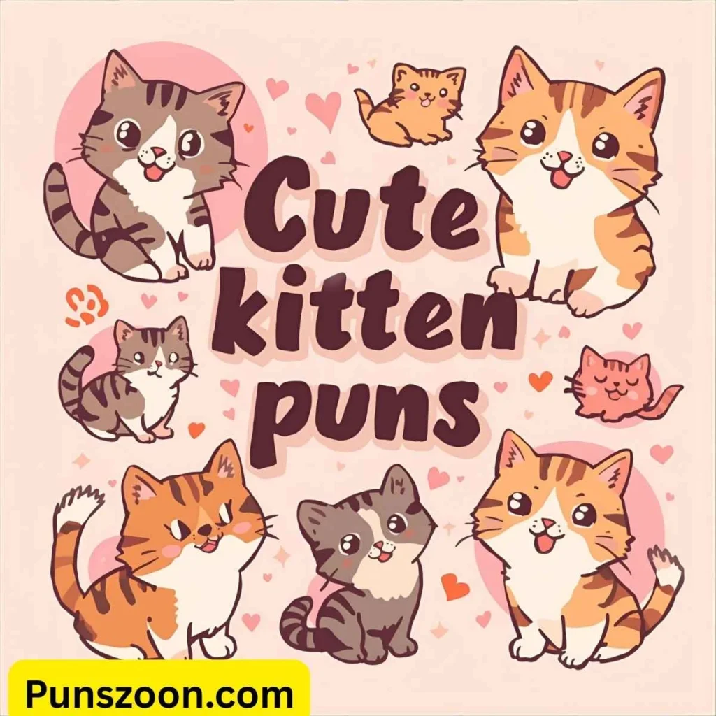 Cute Kitten Puns