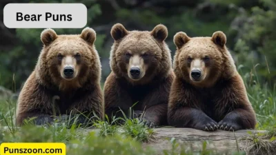 Bear Puns