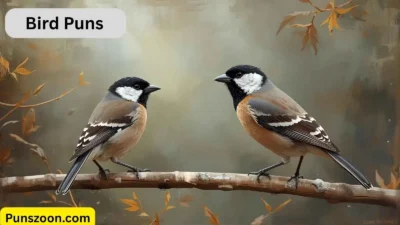 Bird Puns