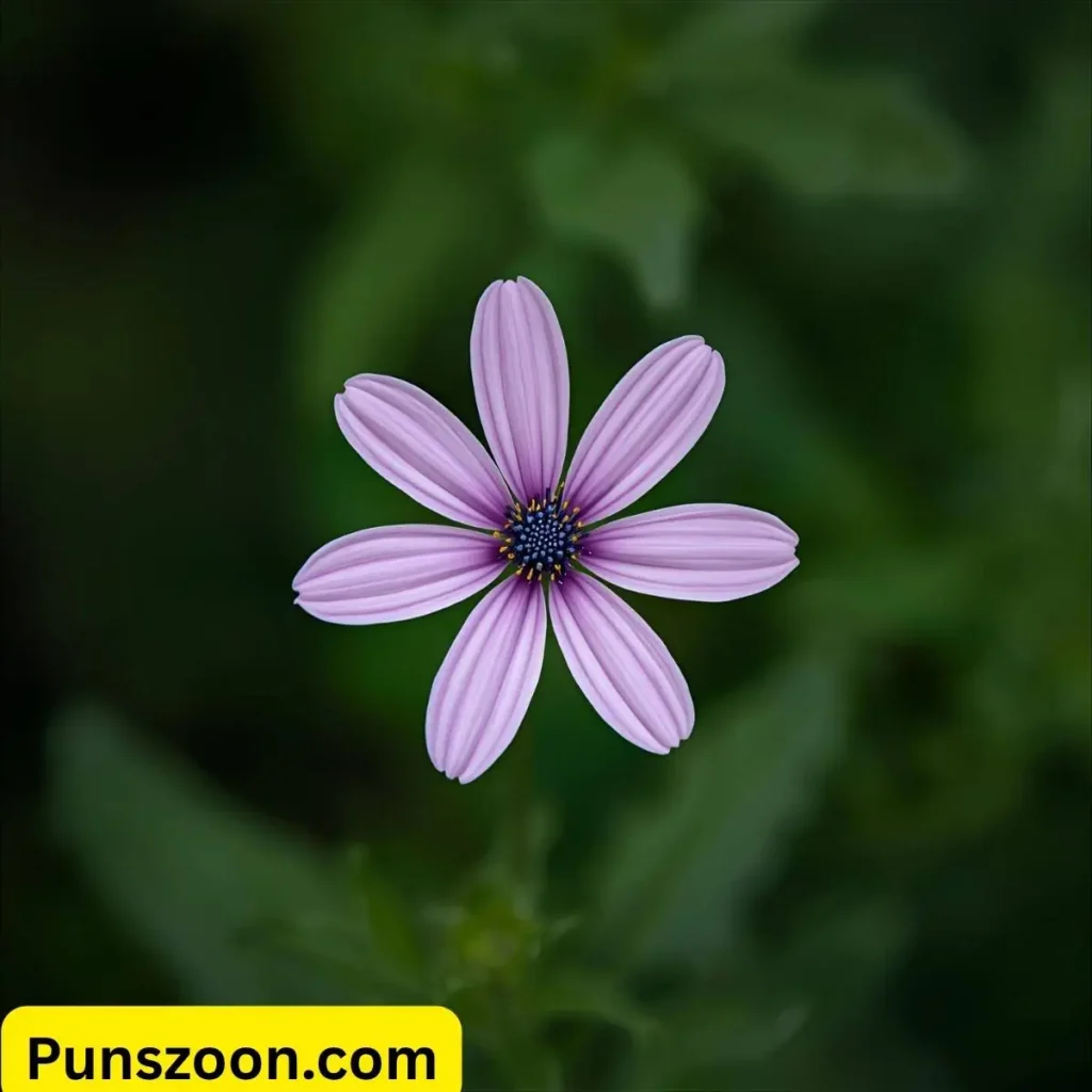 Flower Puns One Liners