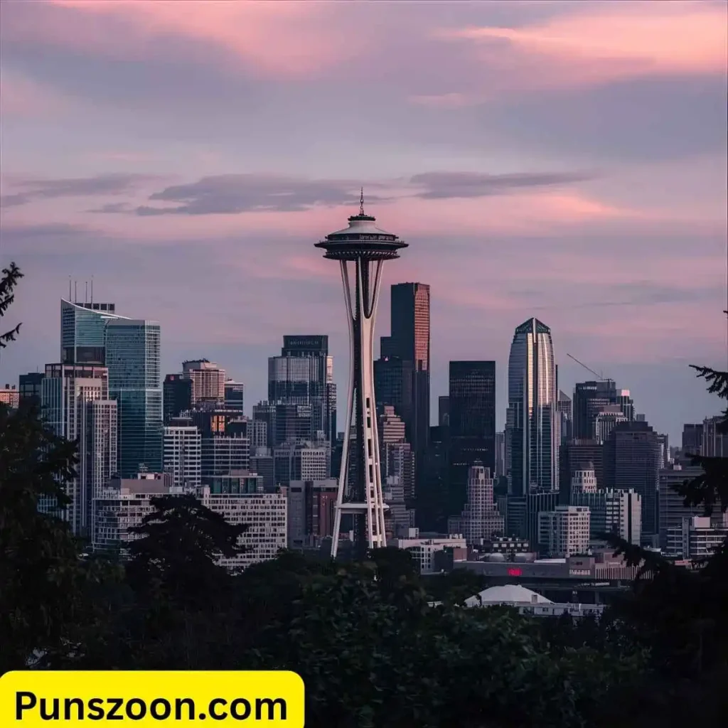 Seattle Puns Instagram