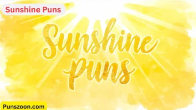 Sunshine Puns