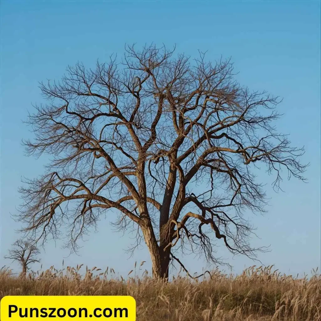 Tree Puns One Liners