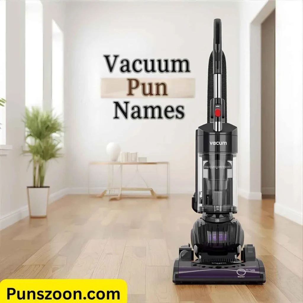 Vacuum Pun Names