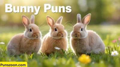 Bunny Puns