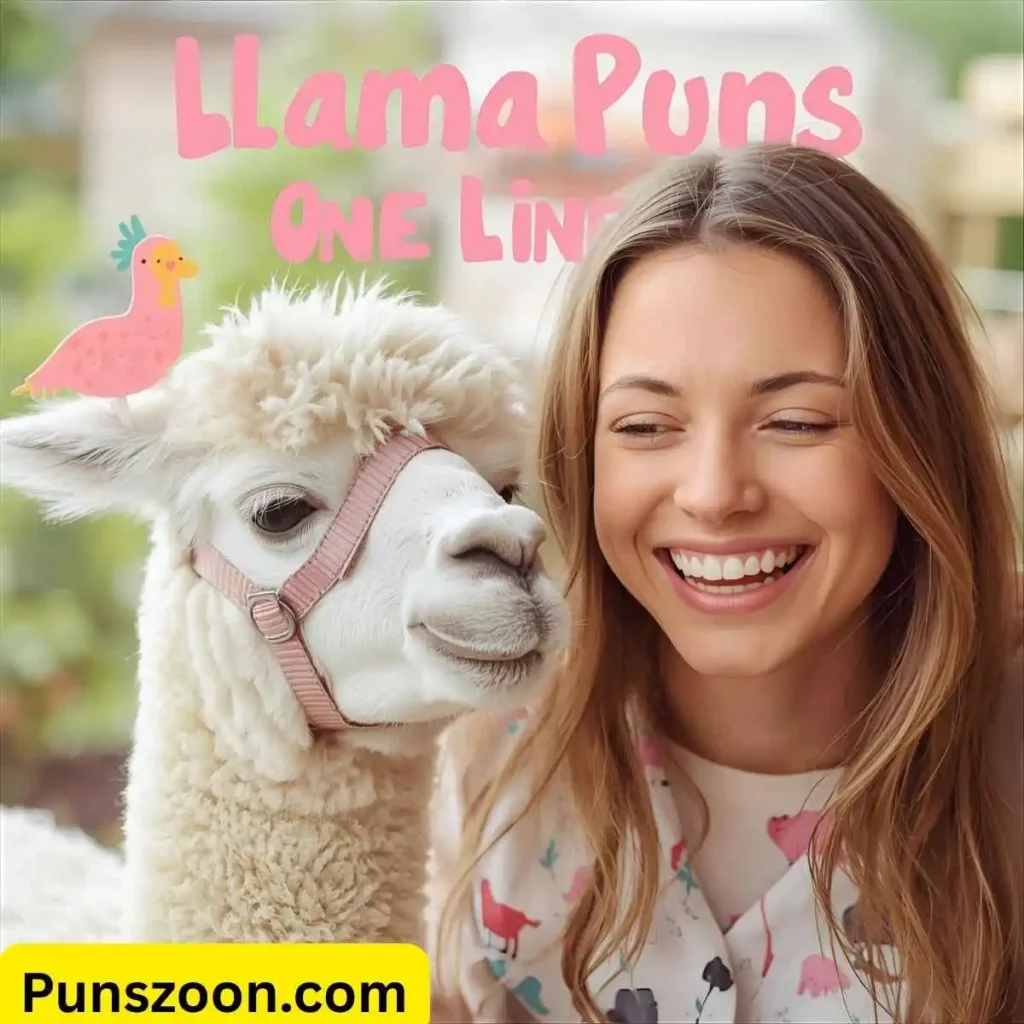 Llama Puns One Liners